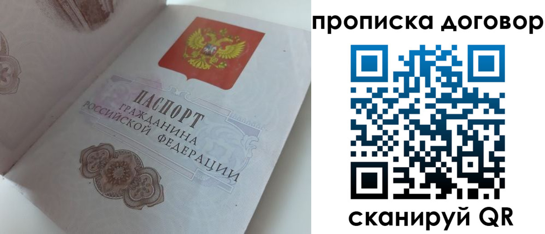 прописка поиск в Галиче